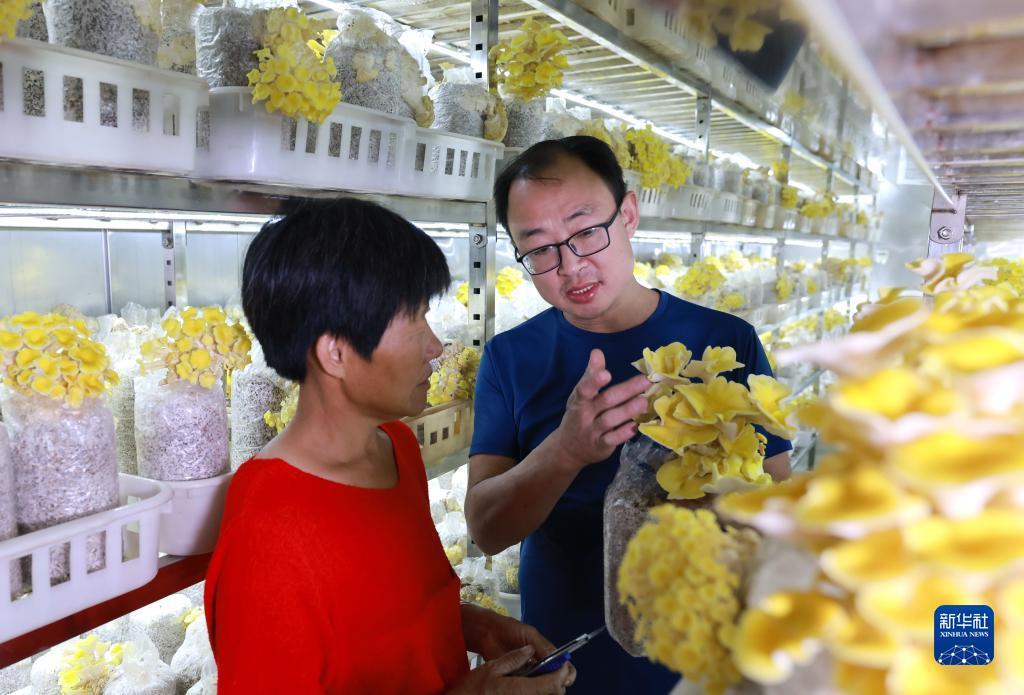 乐博现金换网址了